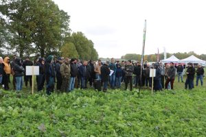 Dzień sorga i międzyplonów 2