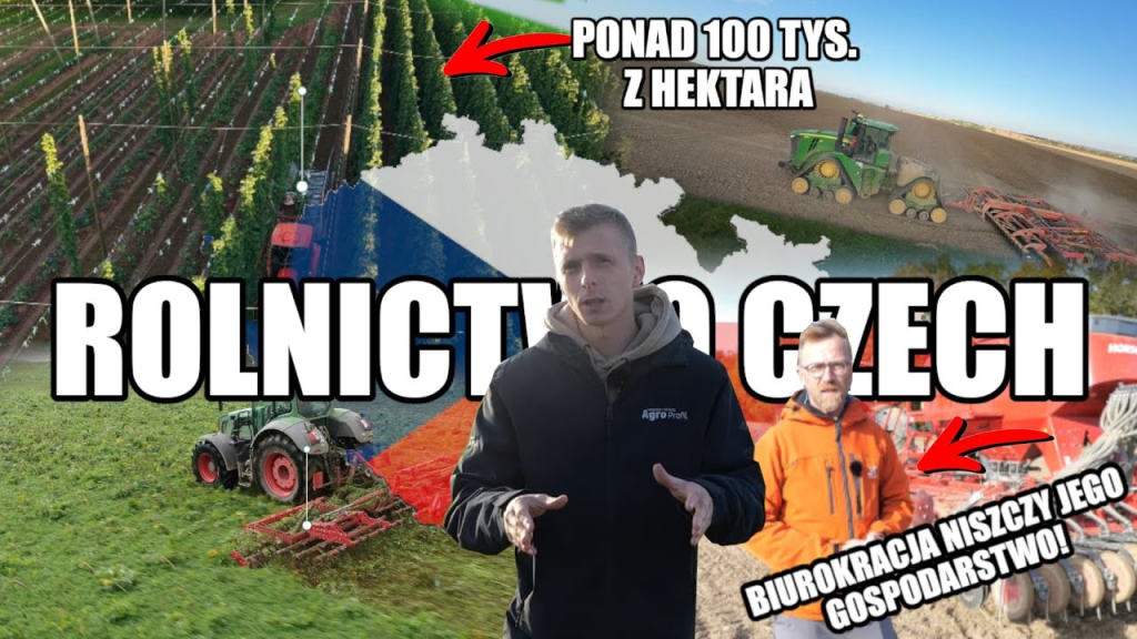 Cała prawda o rolnictwie Czech! Ta uprawa daje im ponad 100 tys. złotych przychodu z hektara!
