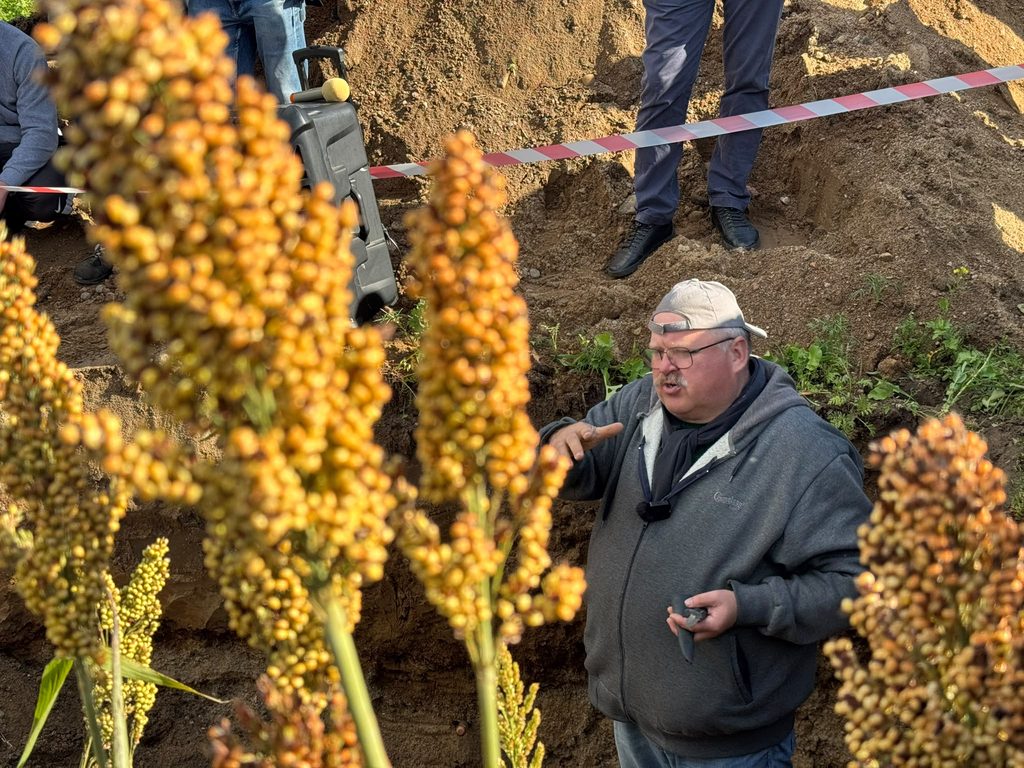 Warsztaty Polowe - Dzień Sorga i Międzyplonów 2026